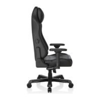 DXRacer I238S Master Series Gaming Chair | Premium Comfort & Ergonomic Design