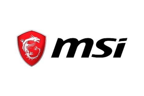 MSI LOGO